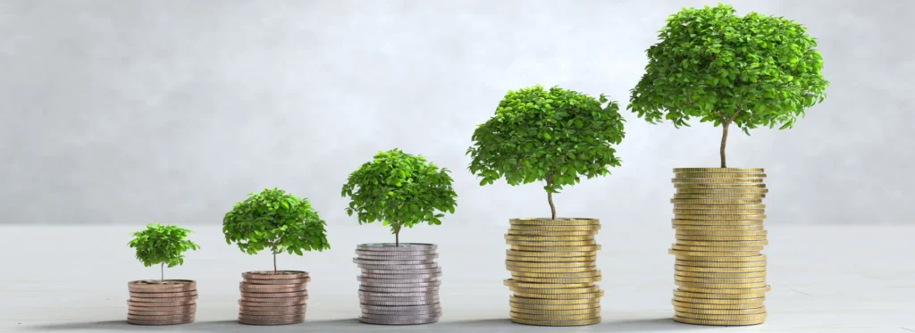 Family Office Investment Platform by Mangena Capital